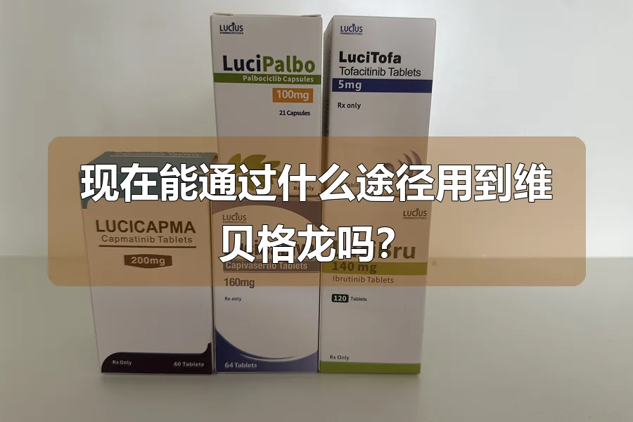 现在能通过什么途径用到维贝格龙吗？
