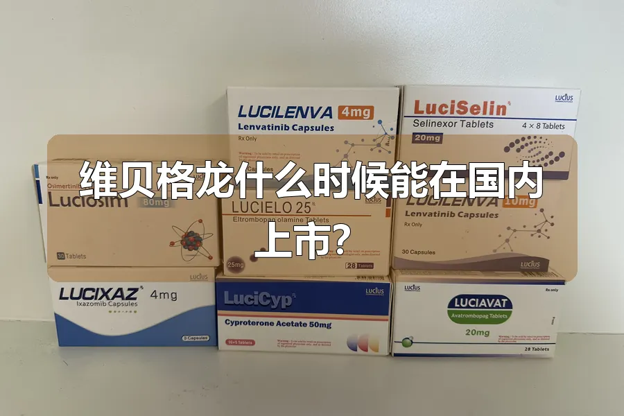 维贝格龙什么时候能在国内上市？
